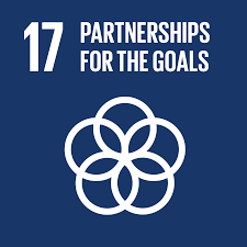 Partnerships for the Goals - Beleivers