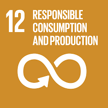 SDG12- Responsible Consumption and Production
