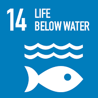 SDG14- Life Below Water